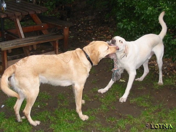 photo21.jpg